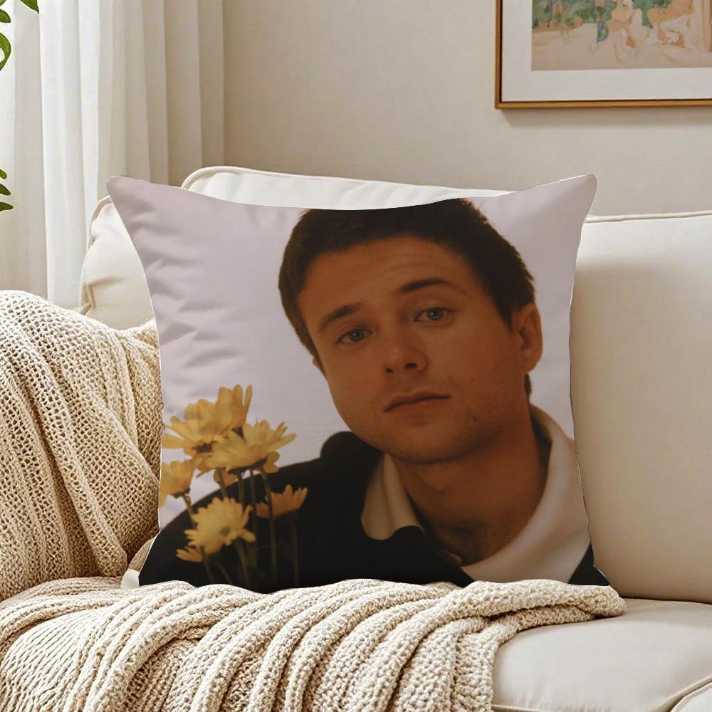 Singer AAlec BBenjamin Cushion Cover Pillowcase Antidustmite living Room Sofa Decor Cushion Room