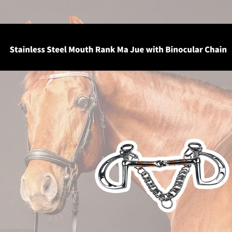 Secure Double Chain Equestrians Bit Stainless Steel Construction for Weatherproofed Horse Training Accessories
