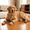 4PCS Breathable Anti-Slip Dog Socks Adjustable Straps Pet Knitted Socks  Paw Protector