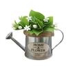 Annaffiatoio in Metallo Vintage Annaffiatoio Consumato con Beccuccio Lungo Piccolo Annaffiatoio per Giardinaggio Interno Esterno