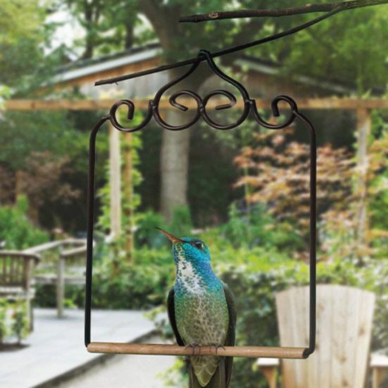 Hummingbird Swing And Perch Rustic Metal Frame Birds Swing with Wood Perch Hanging Parrot Perch for Outdoor Garden Patio Balcony