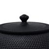 [Made in Japan] OIGEN Casting Nambu Iron Kettle, Nambu Ironware, Maromi Arare, 1L, Made in Japan, Direct Fire, Honjien / La /