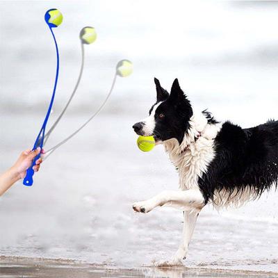 Wurfstock für Haustiere, Handwurfball für Hunde, Spielzeug für Tennisbälle, Stange für Outdoor-Aktivitäten, Trainingsspielzeug für Hunde, Heimtierbedarf