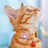 Silicone Case Waterproof Protective Cover Sleeve Dog Cat Collar Holder Anti-Drop Item Finder Cover for Samsung Galaxy SmartTag2