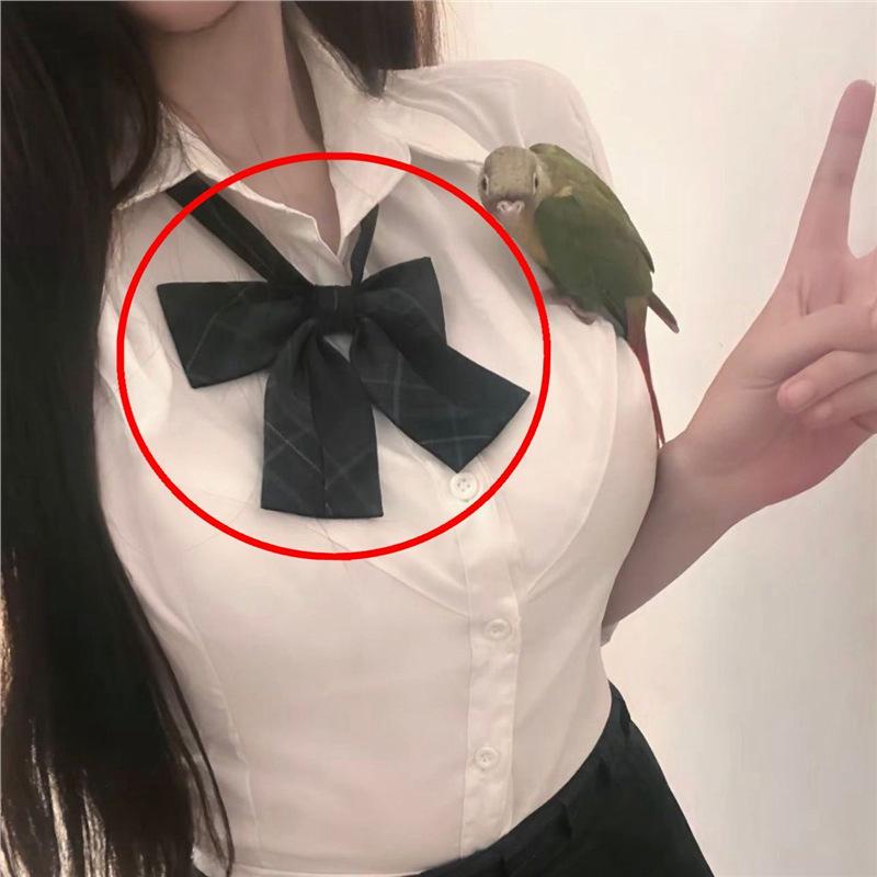 

Женский осенний топ с длинным рукавом и белый миди-комплект юбки: Приталенный крой, Шикарный дизайн L