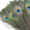 Natural Peacock Feathers 25-30cm 10-20Pcs Eco-friendly Real Plumes for Wedding Party Home Decor DIY Craft Use