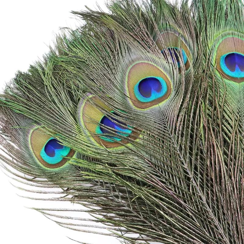 Natural Peacock Feathers 25-30cm 10-20Pcs Eco-friendly Real Plumes for Wedding Party Home Decor DIY Craft Use