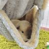Hammock Birds Plush Hanging House Small Animals Squirrel Double Layer Hammock Beds Parrot Nest Squirrel Warm House