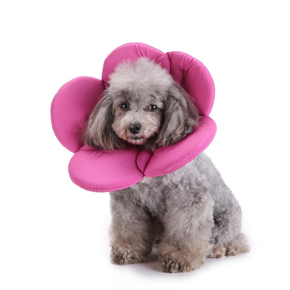 Surgery Wound Healing Elizabethan Collar Protection Cover Neck Cone Recovery Pets Protective Collar