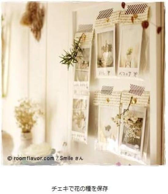 Instax Fujifilm Instant Camera 10 Sheets INSTAX MINI JP 1 X Film, (for 2)