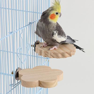 Vögel – Vögel-Spielzeug