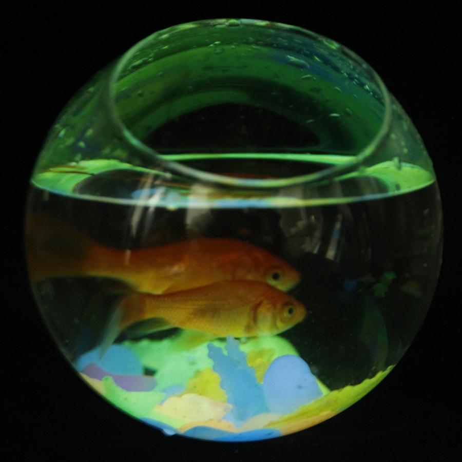 Luminescent Stones for Large Landscapes,Gardens,Landscapes,Potted Plant,Park,And Fish Tanks,Decorative Fluorescent Stones