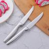 Bisda Steak Knives, 2-Piece Set, 9cm Blade, All Stainless Steel, Dishwasher Safe, Silver, Available in Multiple Colors