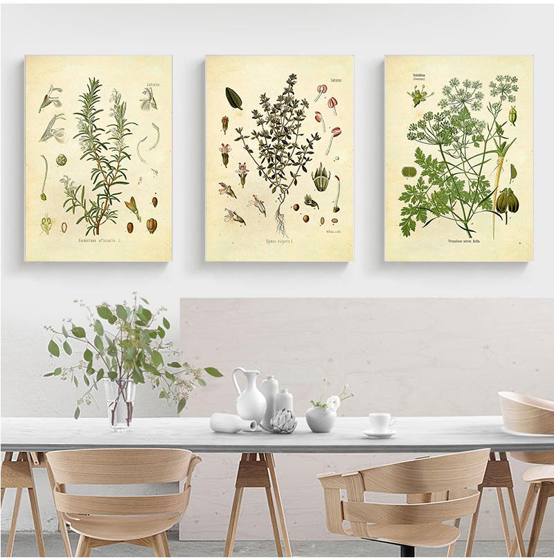 Spices Herbs Print Vintage Botanical Poster Parsley Sage Rosemary Thyme Culinary Wall Art Picture Canvas Painting Kitchen Decor
