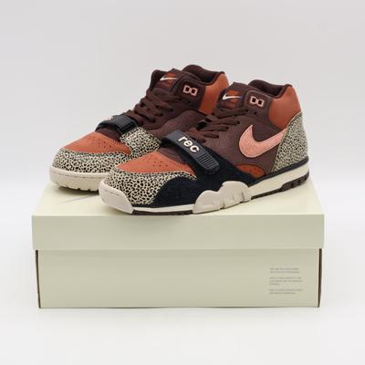 IF0501-200 Arts Rec SB Air Trainer 1 Earth and Dusty Peach (Men's)