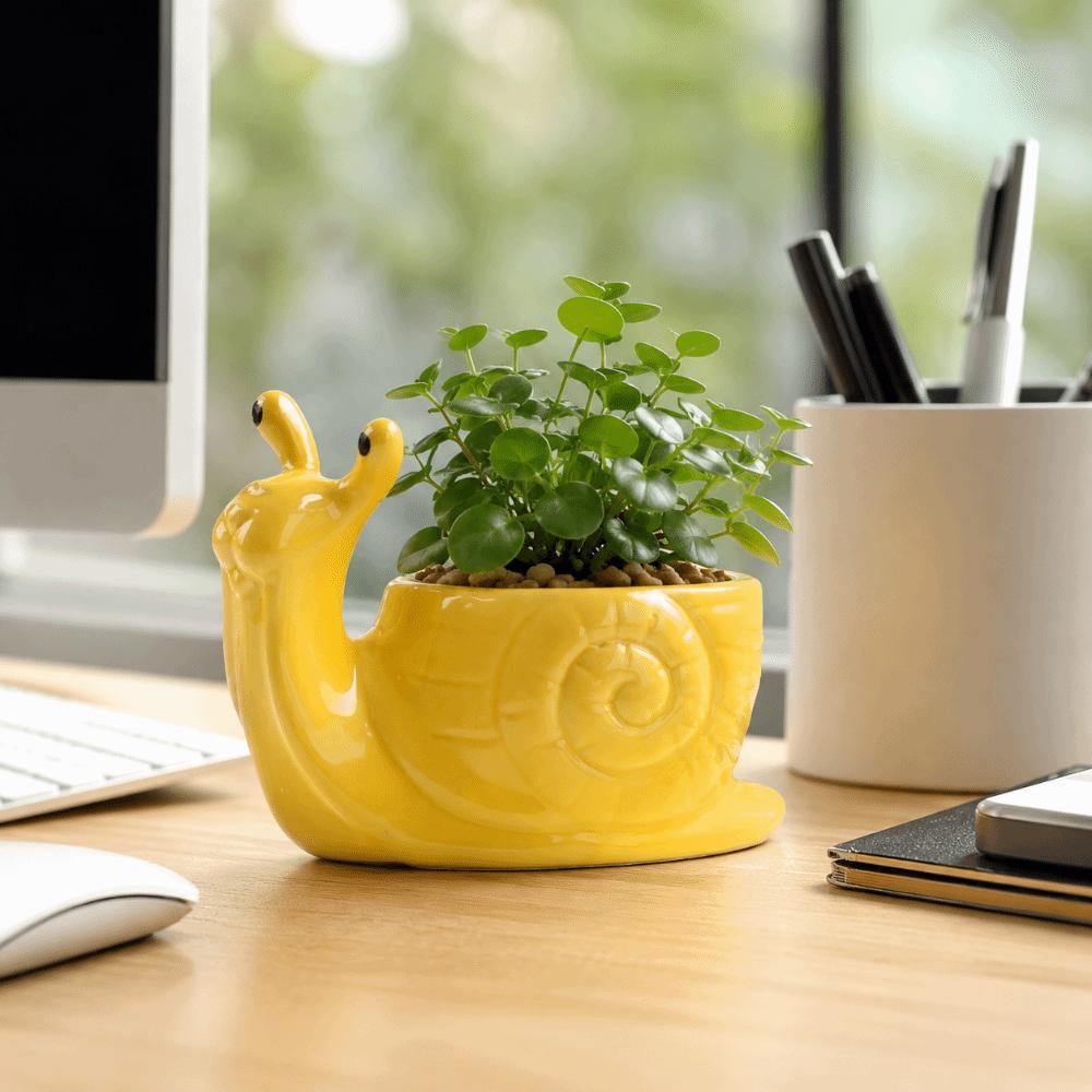 Pot de fleur en céramique en forme d'escargot Boîte de rangement Jardinière Pot pour succulentes Accessoires de bureau