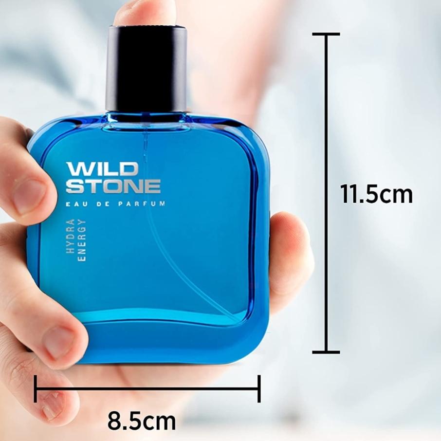Wild Stone Hydra Energy Eau De Perfume for Men, 100ml
