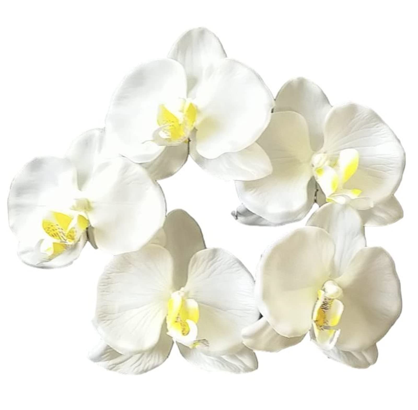 

Select Phalaenopsis Flower Hair Ornament Set for Kimono and Perfect for and Graduations J s 5-Piece Hakama, Weddings, Coming-of-Age Ceremonies,
