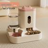 Pet Water Fountain & Feeder: Automatic Cat & Dog Bowl with Food Storage and Water Dispenser