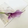 Künstliche Calla-Lilie Realistischer Falscher Blumenstiel Zuhause Büro Hochzeitsparty Innen Außen Kunstblüte Mittelstück Dekoration