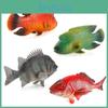 Modelos Coloridos de Peixes Tropicais em PVC Apresentando Peixe-Seda Vermelho e Pargo Verde para Decoração Aquática