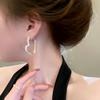 Exquisite 2025 Luxury Diamond Heart Earrings - Unique Circle Design