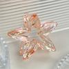 Colorful Hollowed-out Star Shark Clip Sweet Semi-tied Hair Clip  Cute Five-pointed Star-shaped Ponytail Clip  Fashionable Hair Clip