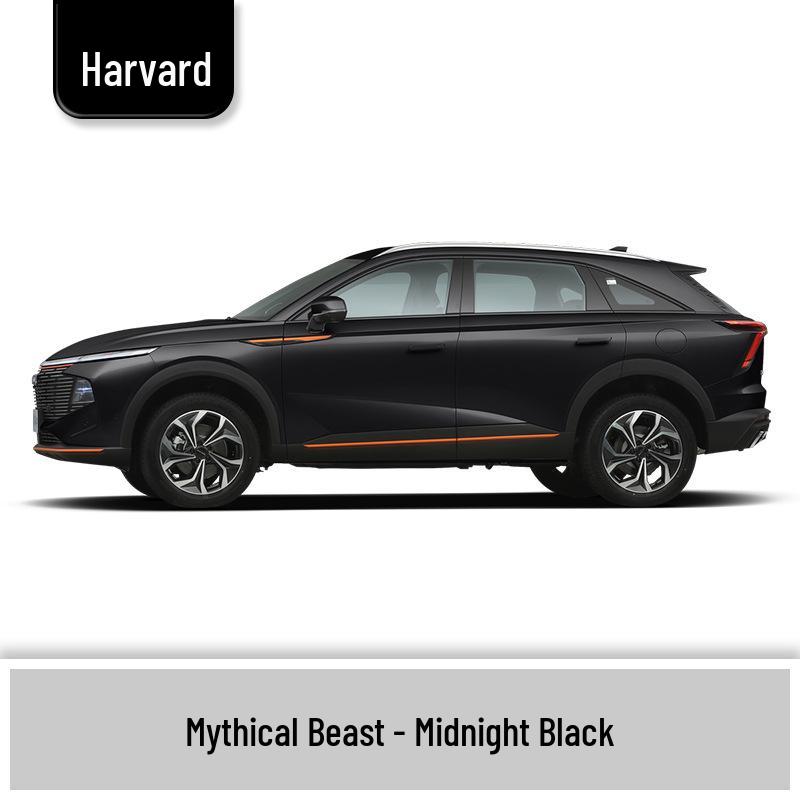 Haval H6 Cool Dog Touch-Up Pen, Black Spot & Ruixue White Scratch Repair Paint
