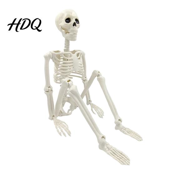 Sturdy Skeleton Figure for Garden Landscaping Halloween Decoration 3Ft Life Size Full Body Human Bone Realistic Posable with Movable Joints
