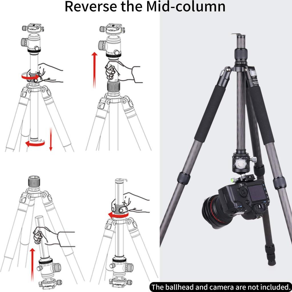 INNOREL RT75C Carbon Tripod 165CM Travel Tripod Professional Grade Nut Lock Elevator Load Capacity 20KG Leg Adjustable Monopod Pipe Diameter 29mm