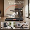 ROBORE SF10 Foldable Quiet Treadmill Black