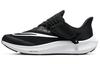 Air Zoom Pegasus 39 FlyEase 'Černá Bílá' DJ7381-001