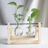 Desktop Glass Vase Wooden Frame Transparent Glass Ball Hydroponic Plant Container Flower Pot Home Bonsai Decor