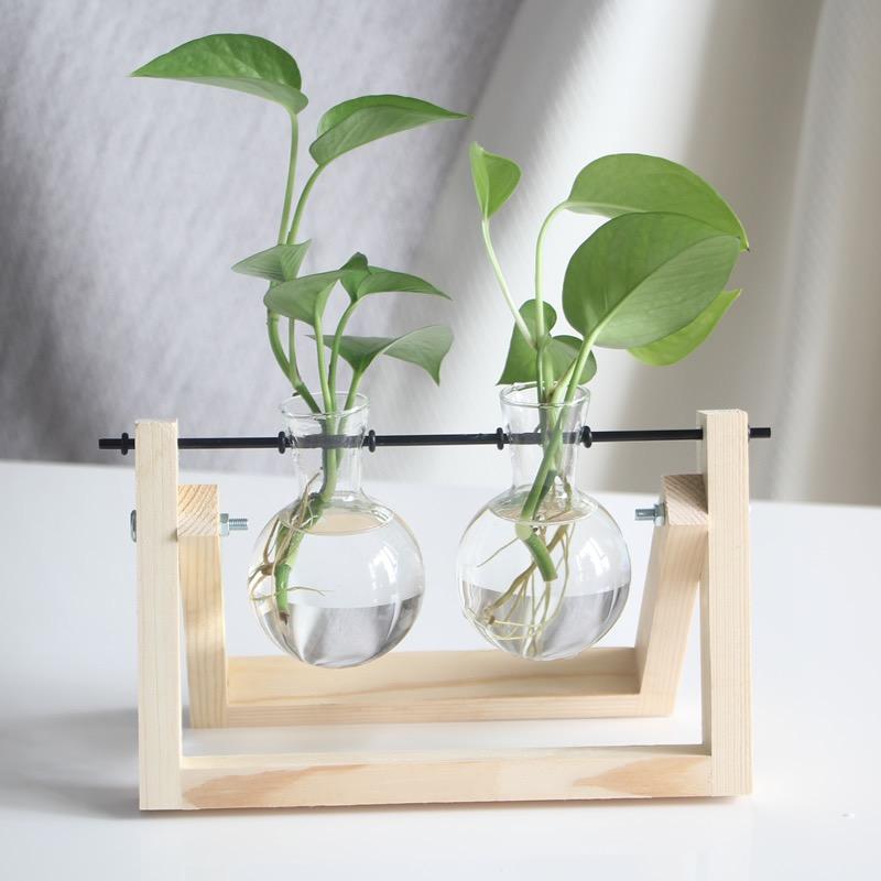 Desktop Glass Vase Wooden Frame Transparent Glass Ball Hydroponic Plant Container Flower Pot Home Bonsai Decor