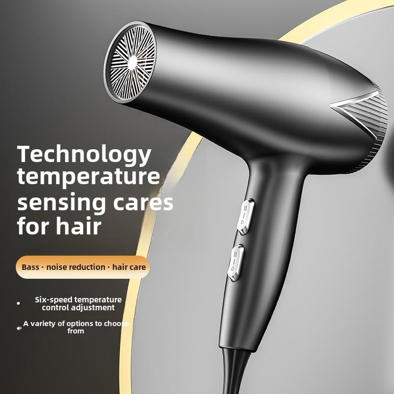 Hair Dryer Hair Salon Special High-power Convenient Hair Dryer Hair Dryer