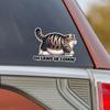 JT132#16X12cm Hilarious Chonk Cat Meme Vinyl Decal - Durable, Weatherproof Sticker for Cars, Laptops