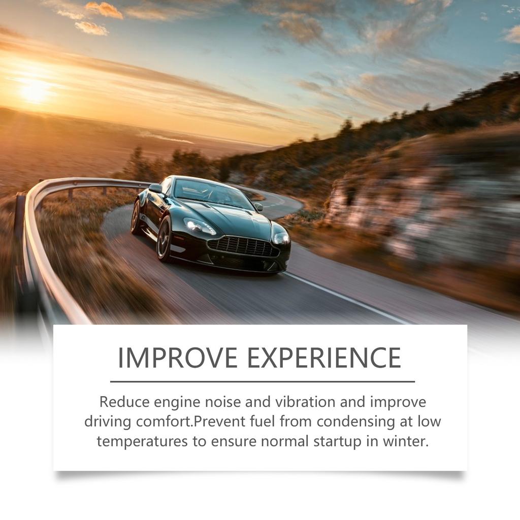 RAYHONG Automotive Fuel Additives Protecting the Engine Keeping Parts Worn System Cleaner Additives