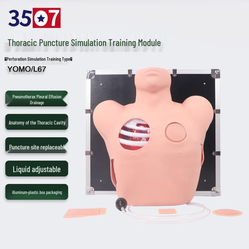 Thoracentesis and Drainage Training Model