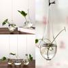 1 STÜCK Transparente Hydrokultur-Pflanzenvasen Terrariumbehälter Hängende Glasvase Blumentopf