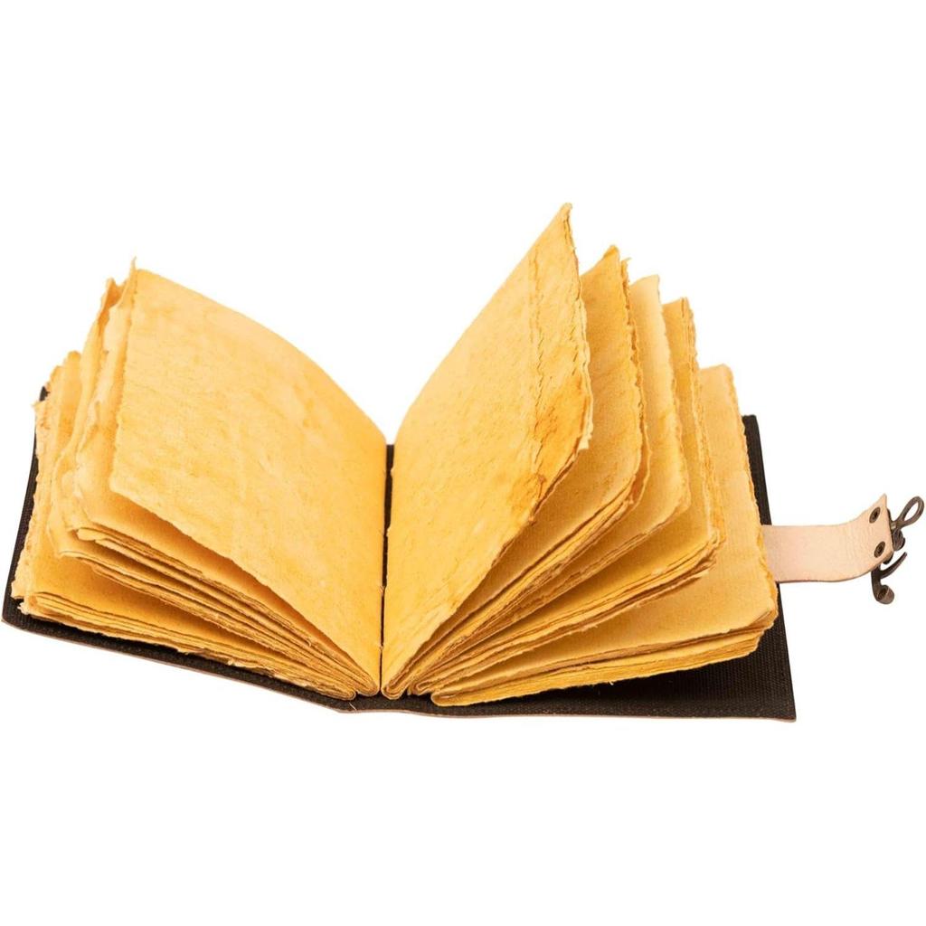 Bags sel de mer upcycled canvas crossbody bag for women and Leather journal Luna Moths and Morpho Butterfly Print Diary Perfect Present