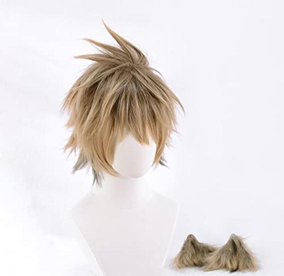 Ruggie Bucchi Cosplay Wig with Animal Costume Includes Net and Halloween Costume Ears, Accessory, Comb, Brown,