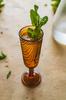 Champagne Glass, Wood Slice Pattern, Arbre Brown Design