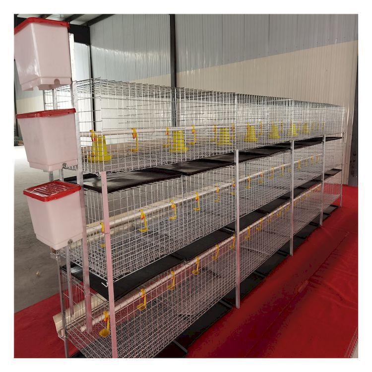 Layered Broiler Farm Equipment: Fully Automatic 3D Broiler Chicken Cages with Cleaning System