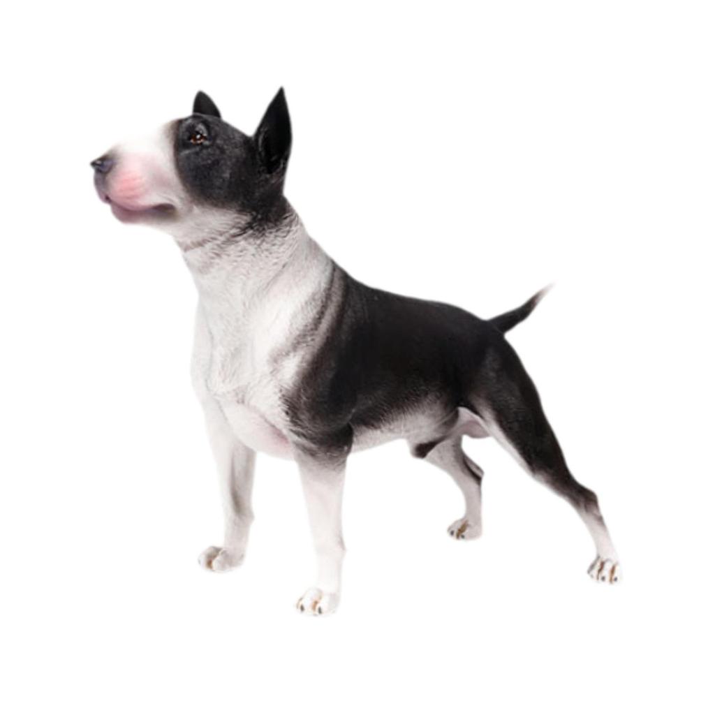 Dog Figurine for Home And Car Decoration Gift for Birthdays Miniature Dog Model Educational Toy for Kids