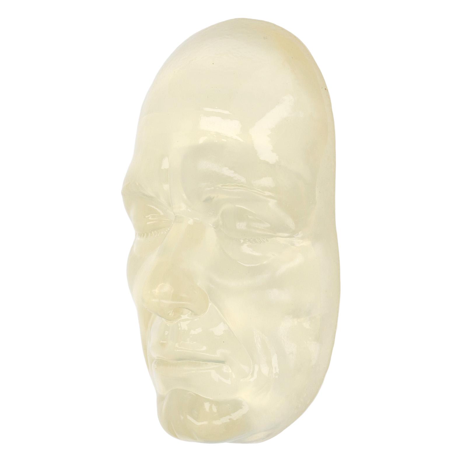 Injection Training Head Face Model Silicone
