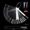 Fan-Shaped Nail Art Color Swatch Board with Buckle for Beginners