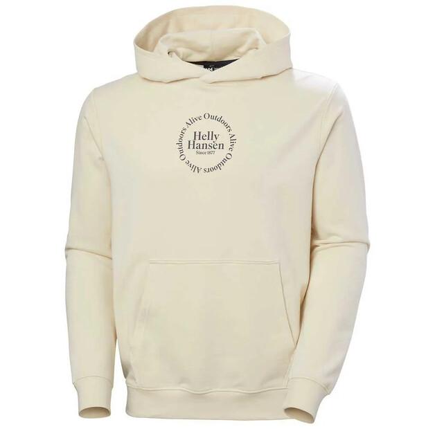 Helly Hansen Core Graphic худи