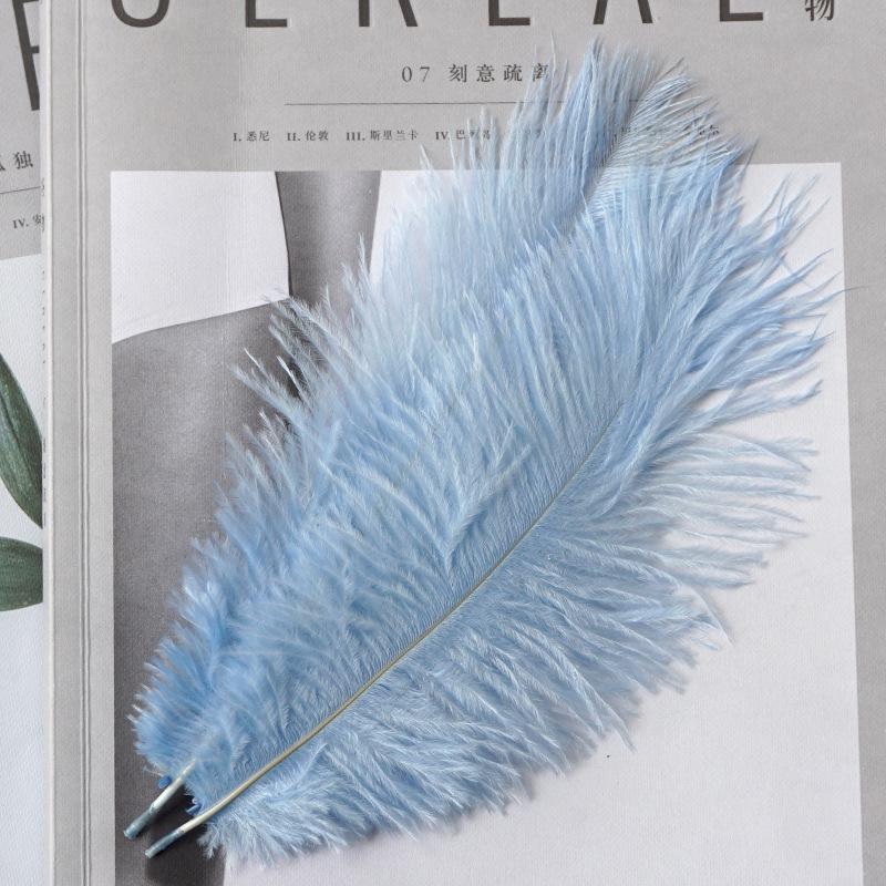 22-Color Ostrich Fur Big Feathers Wedding Background Wall Decorative Wall White Pink Feather Flower Arrangement 20-25Cm