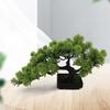 Small Artificial Bonsai Pine Tree Simulation Potted Plants Desktop Display Tree for Windowsill Home Office Decoration Ornaments