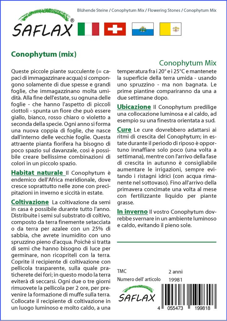 SAFLAX Garden In the Bag - Flowering Stones / Conophytum Mix - 40 Seeds - With Substrate In a Fitting Stand Up Bag - Conophytum Mix